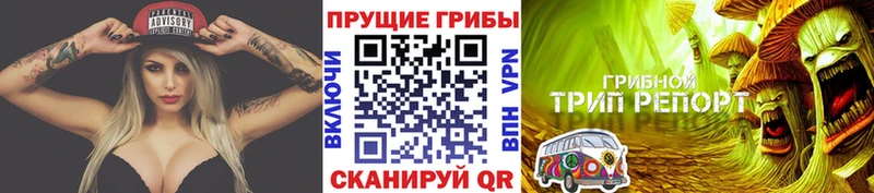 Псилоцибиновые грибы Psilocybe Снежинск