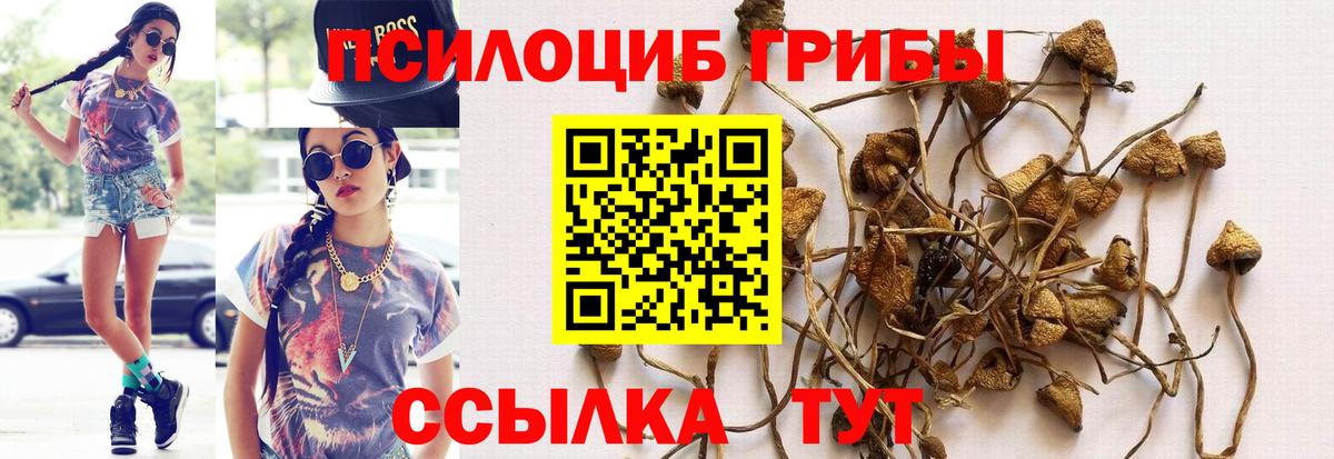 Псилоцибиновые грибы мицелий  Вход с VPN  Снежинск  Галлюциногенные грибы прущие грибы 