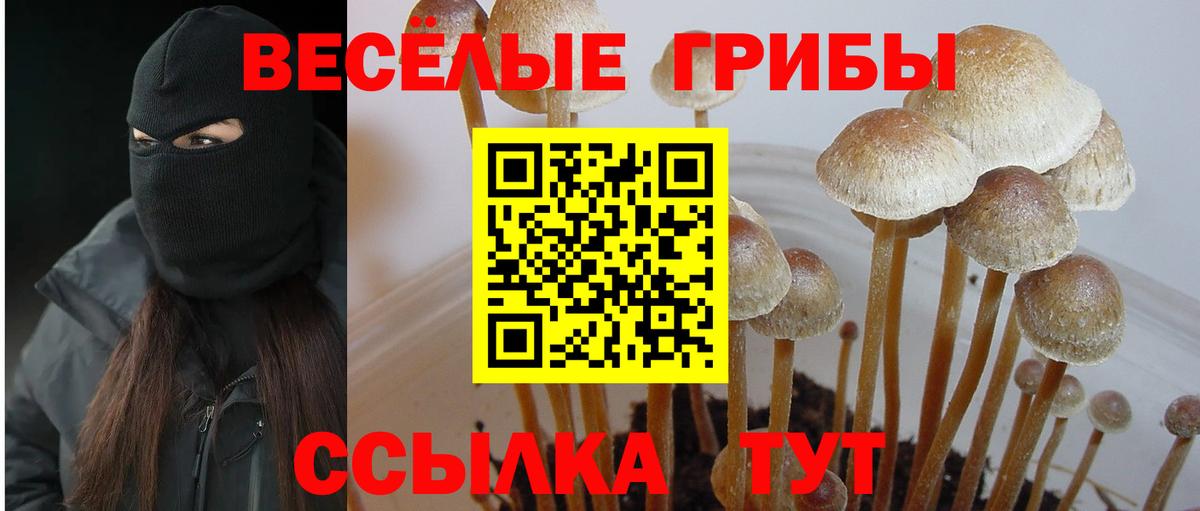 Псилоцибиновые грибы MAGIC MUSHROOMS Снежинск